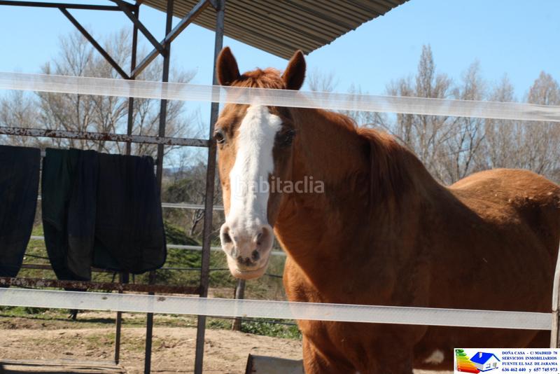 Foto 778b7d4d-abac-45e0-b63c-58a2fc0a3665. Bauernhof in avenida Prado Norte 914 in Prado Norte Algete