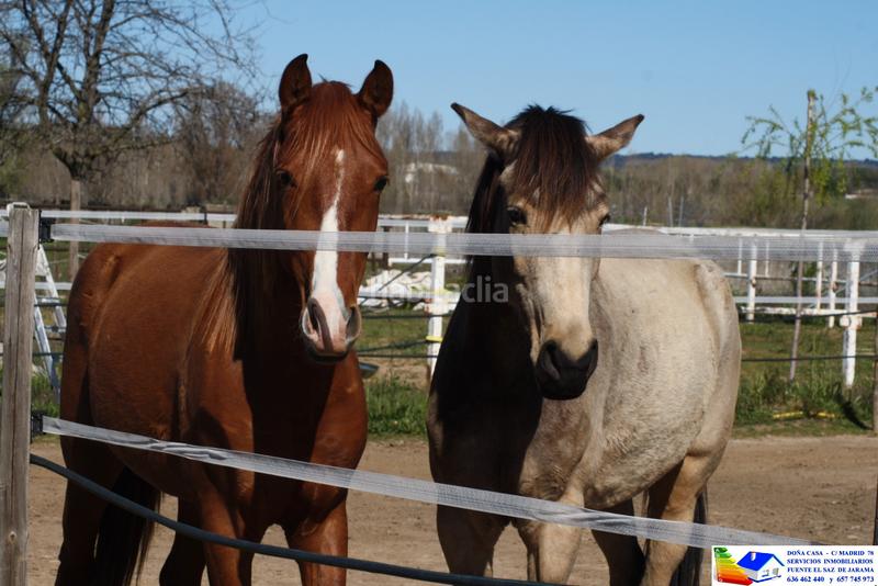 Foto 7ff2537c-cca9-4ead-a408-3fe0ab002a68. Bauernhof in avenida Prado Norte 914 in Prado Norte Algete