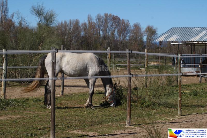 Foto 94f42d9f-cb70-420d-9bfb-bef5e2d17cdd. Bauernhof in avenida Prado Norte 914 in Prado Norte Algete