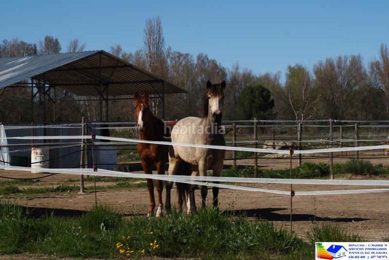 Foto d9b3c901-fc88-4271-bc13-da1d58e277a0. Bauernhof in avenida Prado Norte 914 in Prado Norte Algete