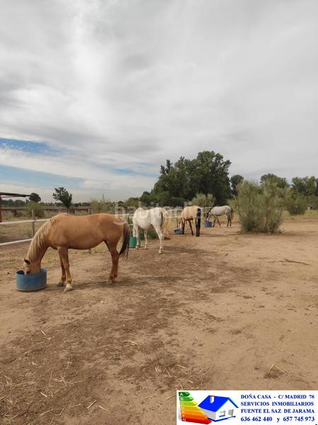 Foto e09f45a8-9e68-48ce-b558-bc4c1bfbd310. Bauernhof in avenida Prado Norte 914 in Prado Norte Algete