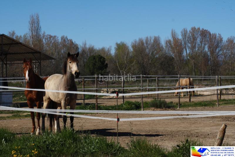 Foto e3f13e04-0c84-48f7-8c21-c1d770e66fdd. Bauernhof in avenida Prado Norte 914 in Prado Norte Algete
