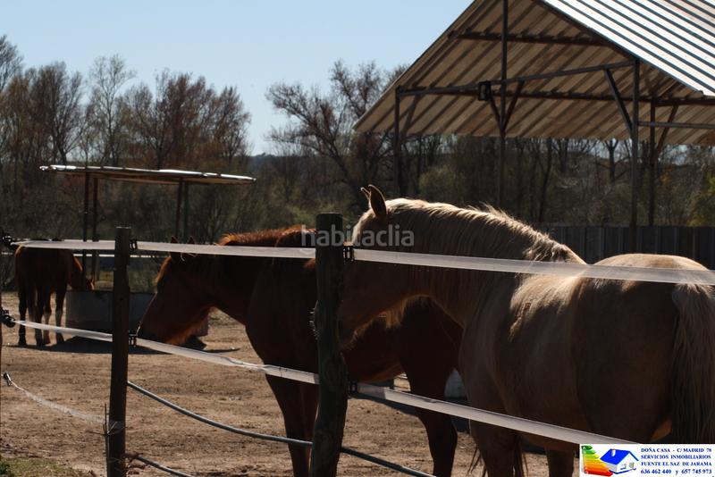 Foto e583d2d8-11ff-45d6-aa5c-ed3a813a4fe6. Bauernhof in avenida Prado Norte 914 in Prado Norte Algete