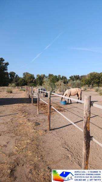 Foto eb47d3a5-ff10-4892-8938-7bbbf7bae85a. Bauernhof in avenida Prado Norte 914 in Prado Norte Algete