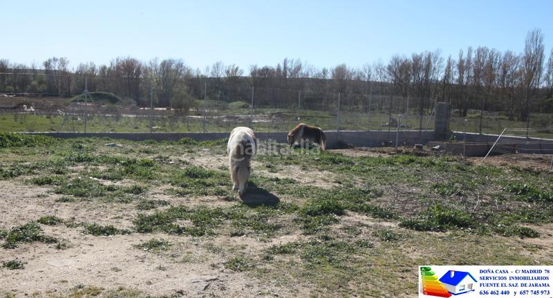 Foto ecd16448-7073-4b1e-9e79-63a2ba709a68. Bauernhof in avenida Prado Norte 914 in Prado Norte Algete