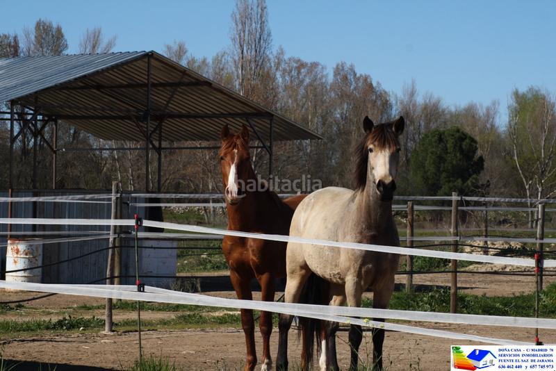 Foto f841342c-655c-447a-b0ee-df3ccc48646b. Bauernhof in avenida Prado Norte 914 in Prado Norte Algete