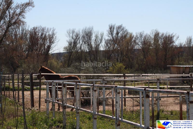 Foto fda51b9d-48f9-4f8c-8fcc-a4a5e9a7f82f. Bauernhof in avenida Prado Norte 914 in Prado Norte Algete