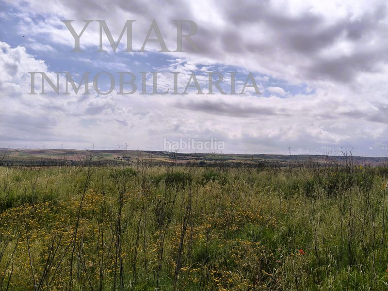 Foto fda1a9b0-cdde-464a-a839-28bbfac0de02. Finca rústica a Chozas de Canales