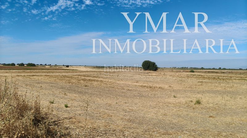 Foto c6b3b7dc-b7a2-4cfe-bede-48bd5969c28a. Finca rústica terreno en alcabon en Alcabón