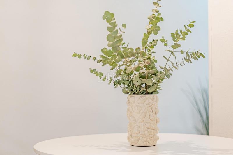 Foto 09609cb9-ea98-4367-8204-27035f0d08b5. Etagenwohnung mit heizung in Ibiza Madrid