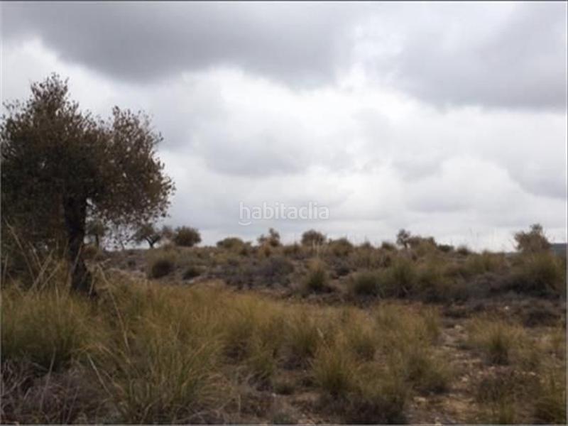 Foto 4612d5a7-be98-42a6-8bd7-61c9ca991909. Finca rústica en m-311 37 en Chinchón