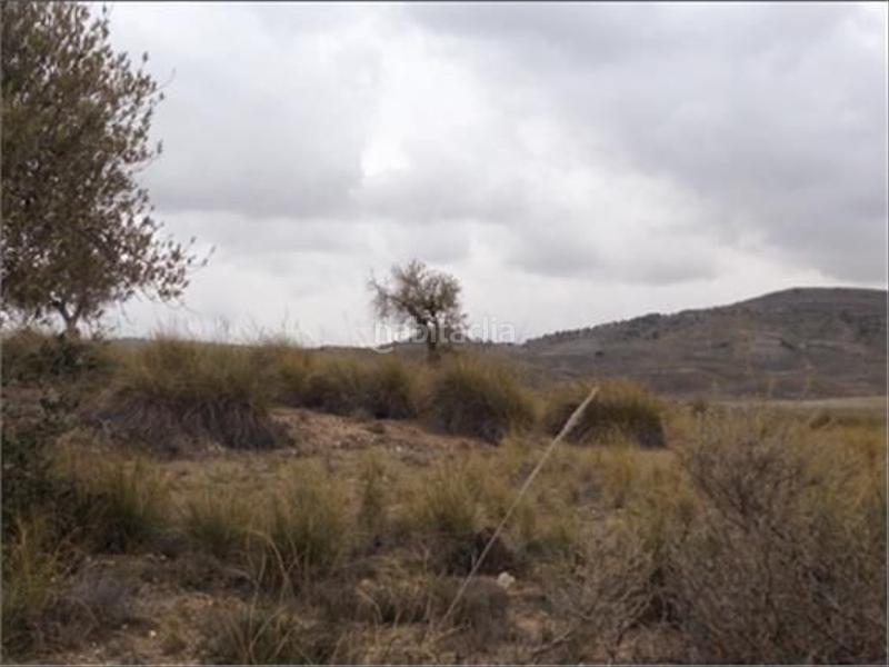 Foto 5d542c82-37ba-4d0b-91ca-c59a593a6432. Finca rústica en m-311 37 en Chinchón