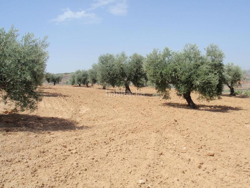 Foto ce93ac70-35c9-471f-a0a3-01c77a729ca7. Finca rústica a Cobeja