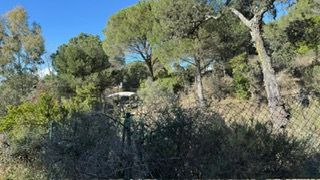 Finca rústica en El Higuerón. Finca rústica en córdoba