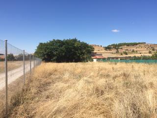 Rural plot in Vial camino camino del portillo 12