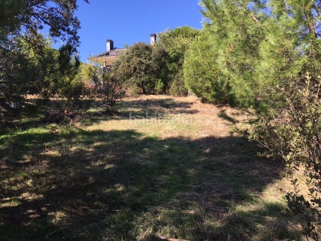 Foto 32349334-9764-471c-9c41-4a0da4d6ae7f. Terreno residenziale in Villa del Prado