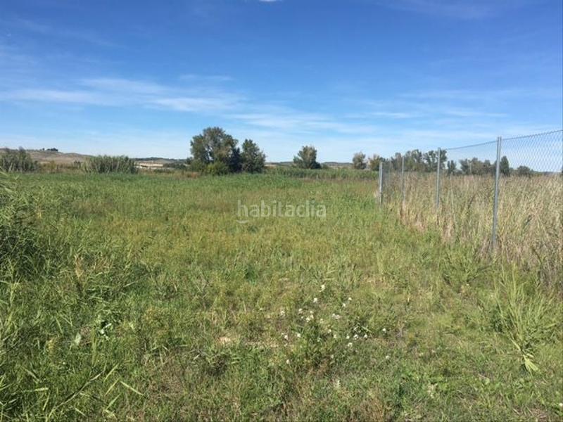 Foto 1555a78b-4073-41ef-8b70-69ab5055623d. Landgut in Chinchón