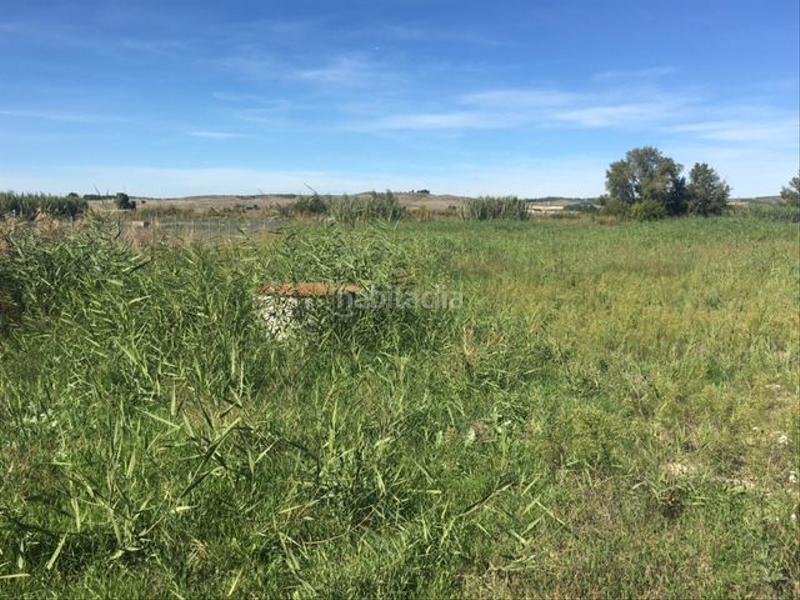 Foto 5a619081-53b4-4d91-b3e8-e38727a7867e. Landgut in Chinchón