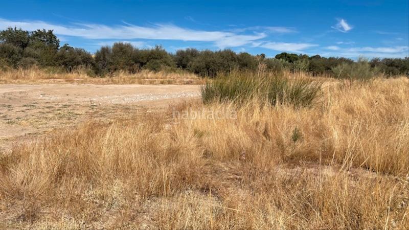 Foto 0626b54f-340e-4ce0-bc65-96e97e801160. Finca rústica navalcarnero, con agua en Villamanta