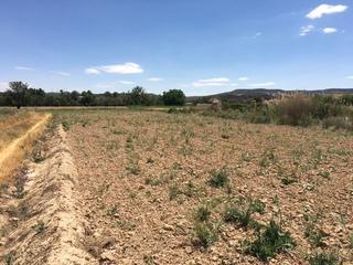 Finca rústica  Calle del pozo del concejo. Parcela con agua, madrid