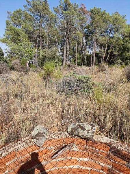 Foto 1fd3edf7-58ee-49a8-9154-0351da8d13d1. Finca rústica finca con agua, sierra oeste en Cenicientos