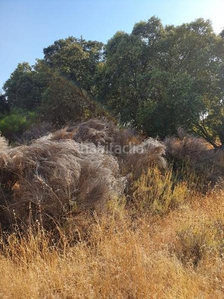 Foto 4fc44f47-fe4c-41c7-9a15-8d35ee4eaf9a. Finca rústica finca con agua, sierra oeste en Cenicientos