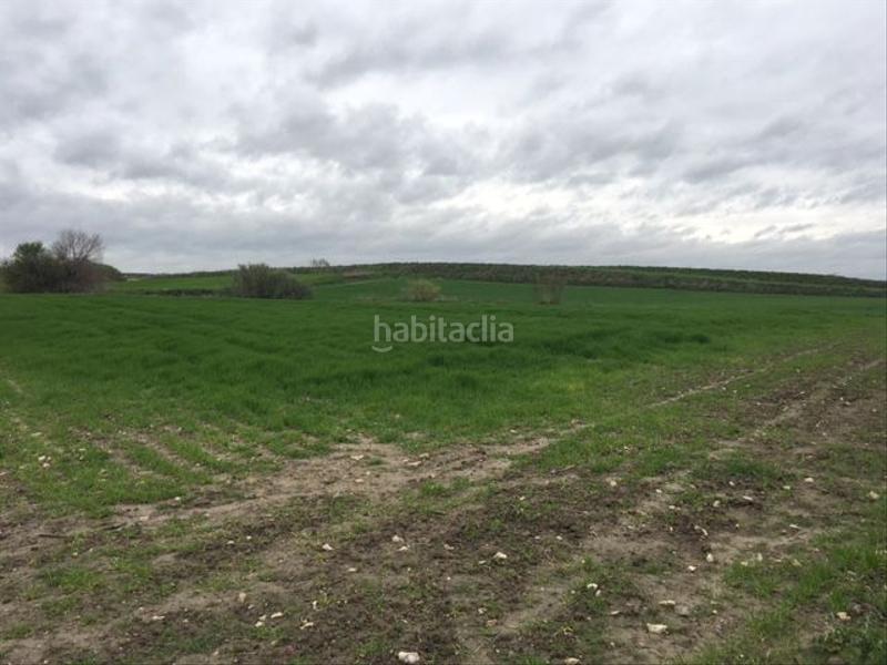 Foto e221ca01-1ea1-4028-a944-08eb24153655. Finca rústica a n/a a Torrejón de Velasco