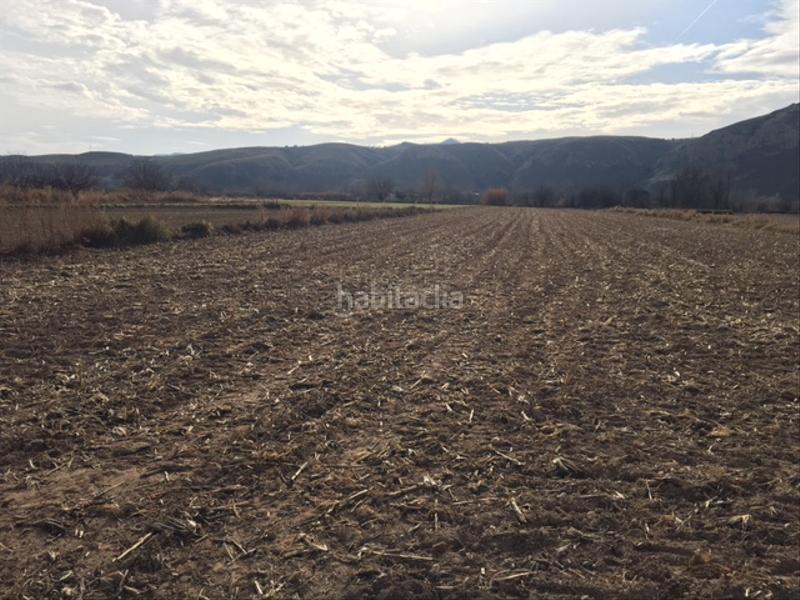 Foto 2f990c23-902c-41ce-8348-074553e97116. Finca rústica a Colmenar de Oreja