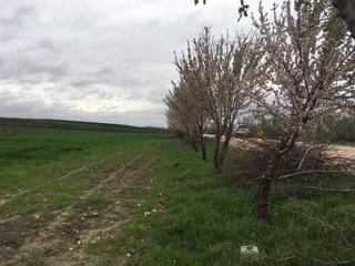 Location Propriété à Sol. Alquiler fincas rústicas en el sur de madrid