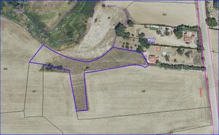 Rural plot in Calle de el molar 45. Finca en el molar