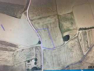 Finca rústica en Colmenar de Oreja. Finca a 40 minutos de madrid, cerca de aranjuez