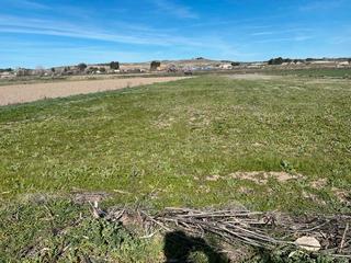 Finca rústica en Chinchón. Parcela con agua, a 35 minutos de madrid