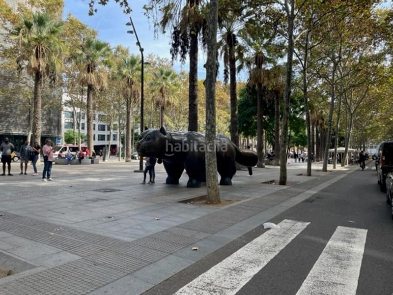 Foto f0be4813-805c-44b2-b6ca-daeb0bb45538. Local commercial dans Raval Barcelona