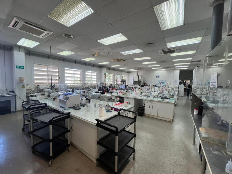 Foto 67302f0d-f6f6-4e4d-8826-6c26a0080133. Lloguer oficina a El Remei Badalona