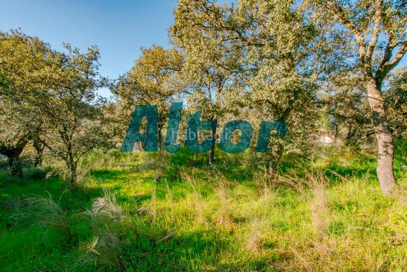 Foto 024138f2-8037-4743-b15b-2e75fd4f9c58. Finca rústica a Cerro Alarcón Valdemorillo