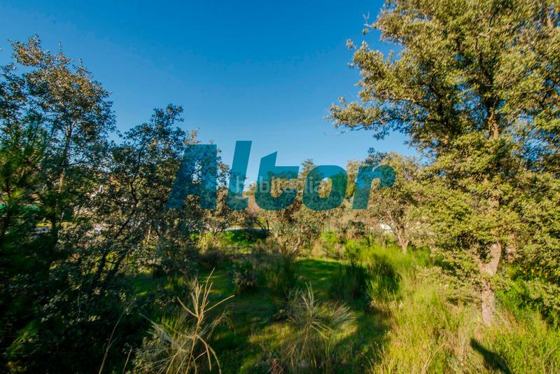 Foto 259564d8-c950-4365-b15d-19aef13dde59. Finca rústica a Cerro Alarcón Valdemorillo