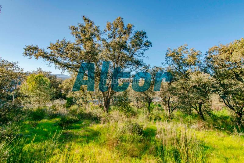 Foto 3d96d4c3-170f-4895-ac99-457925814ba2. Finca rústica a Cerro Alarcón Valdemorillo