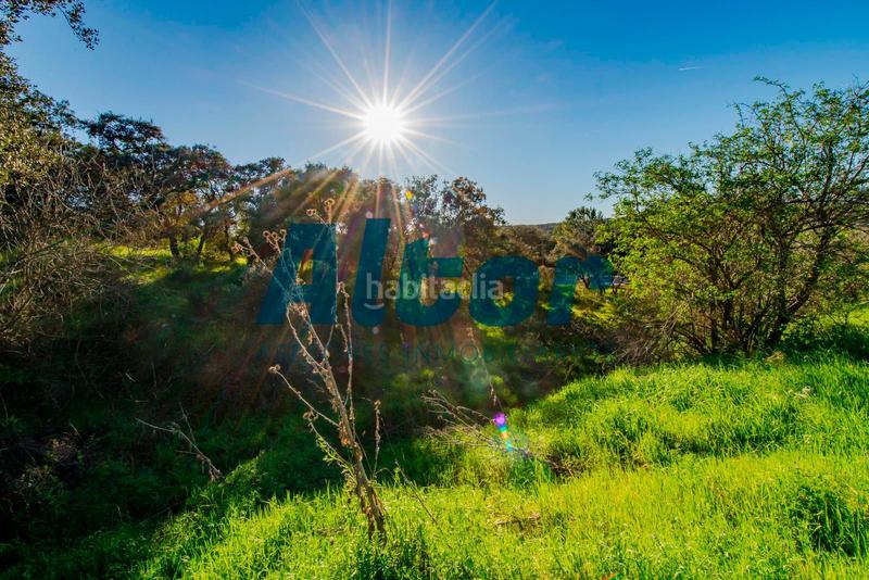 Foto 96cb46fc-a059-4269-b128-634b40addc80. Finca rústica a Cerro Alarcón Valdemorillo