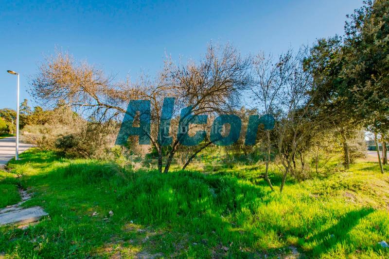 Foto c1a438b2-b8b8-4709-b980-bc6310b963df. Finca rústica a Cerro Alarcón Valdemorillo