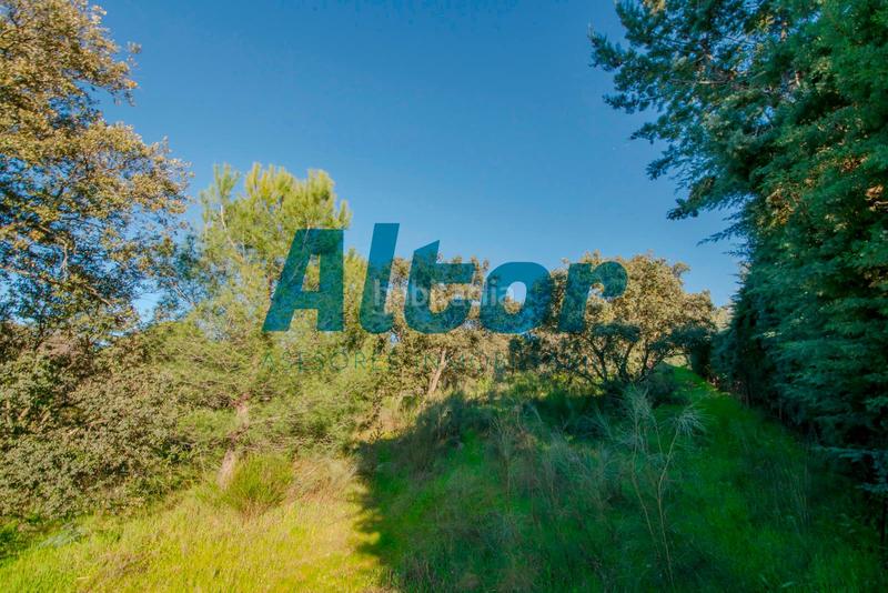 Foto ea62b09a-a6cc-4eea-9092-03f9c8af3aef. Finca rústica a Cerro Alarcón Valdemorillo