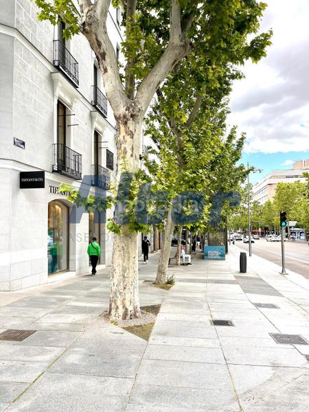 Foto 57d1960d-2916-4cda-ab46-11ef719308d4. Rent flat with heating parking in Castellana Madrid