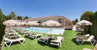 Business premise in Partida Tosal - Zona dels Castellans