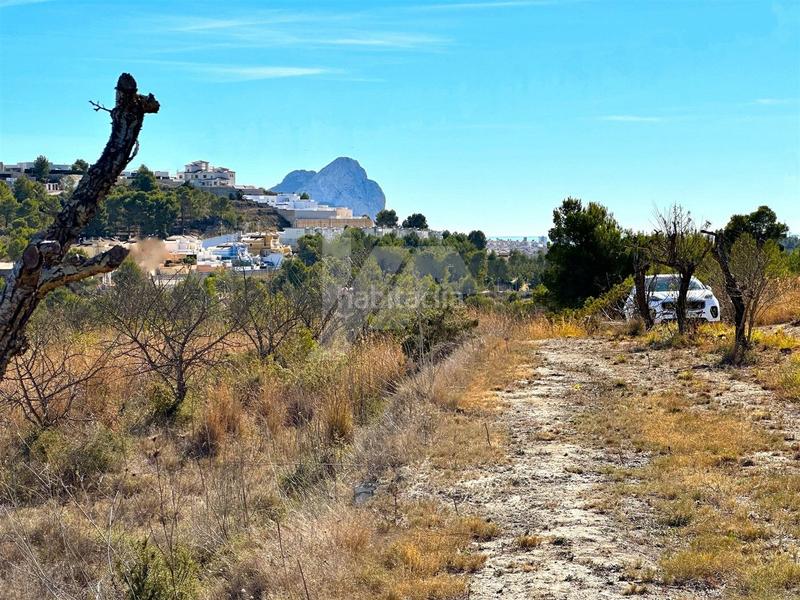 Foto 59cc141e-bd7c-47db-85db-471e62b082a2. Terreno residencial en Benissa pueblo Benissa