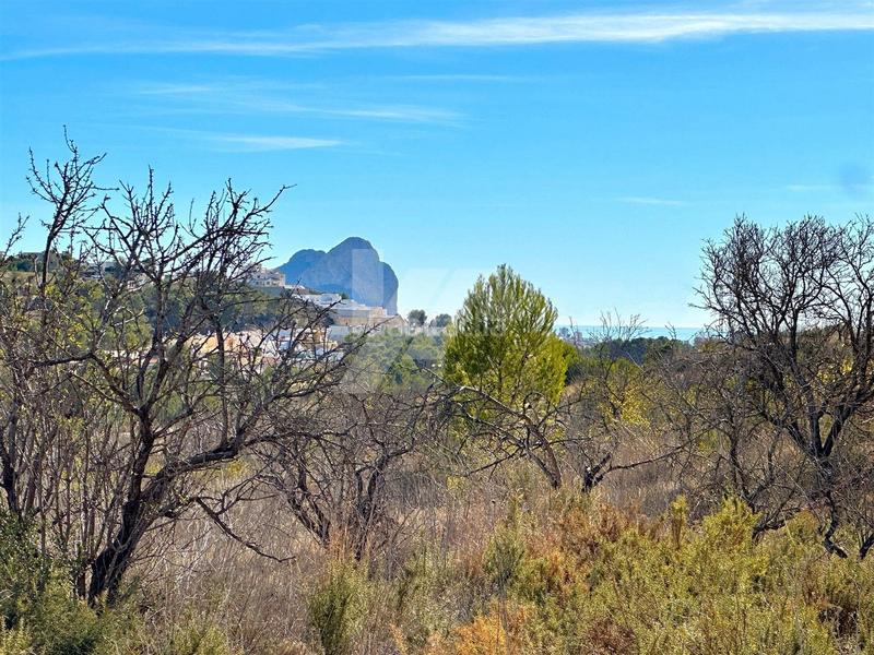 Foto de8d1c0f-127d-4863-9412-39d9a58d9fc6. Terreno residenziale in Benissa pueblo Benissa
