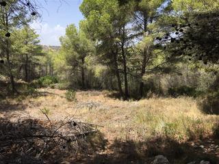 Residential Plot in Benimeit-Tabaira