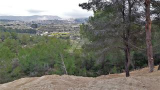 Terrain résidentiel à Casco Urbano