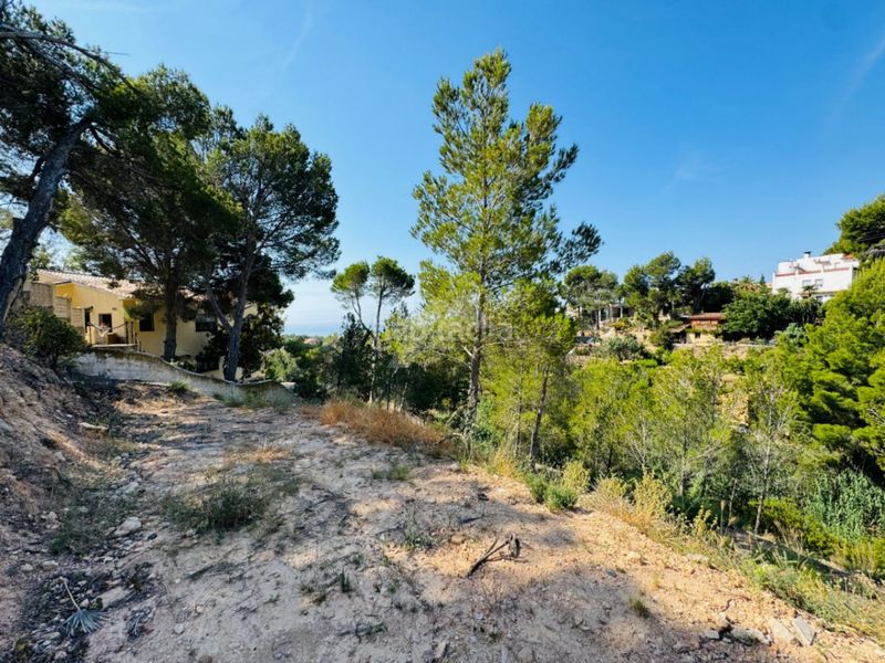 Foto 53f26719-732e-477d-a640-1a1e1a65304a. Terreny residencial a Altea la vella Altea