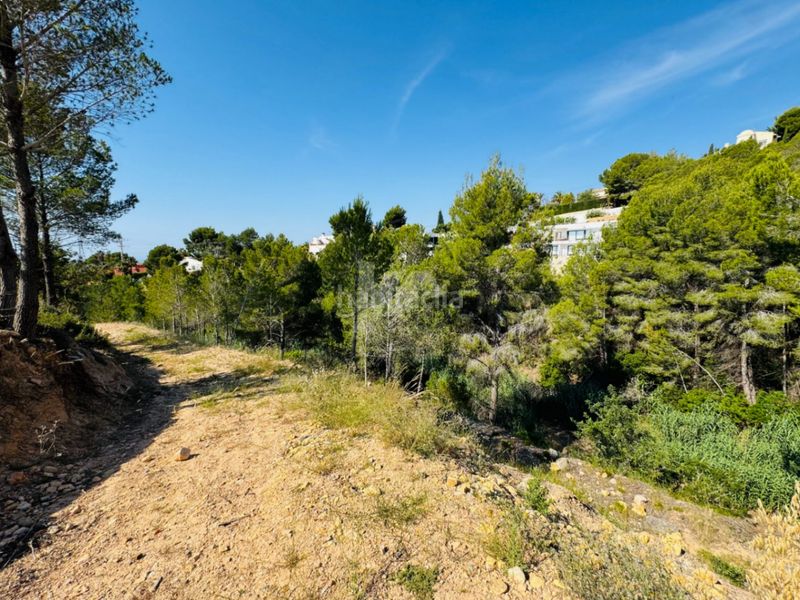Foto 56d95b90-31c7-4cd6-bfb9-539dd6a6bf3f. Terreny residencial a Altea la vella Altea