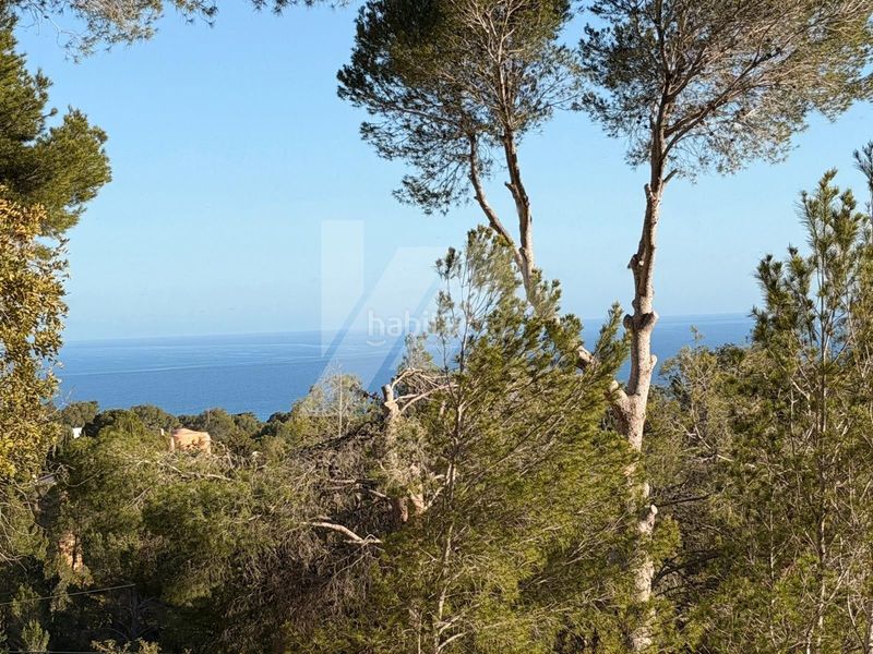 Foto b5eafb6e-ade6-446a-a408-e340f68b4eb2. Terreny residencial a Altea la vella Altea