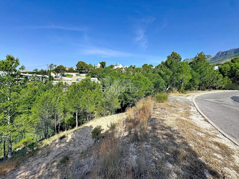 Foto f203d2dc-e986-48a5-af8d-f5774fe8a6c5. Terreny residencial a Altea la vella Altea